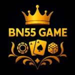 BN 55 logo.
