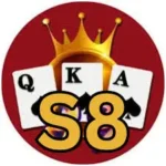 s8 game logo