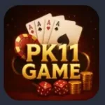 PK11 logo