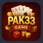 Pak33 logo