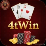 4tWin Logo